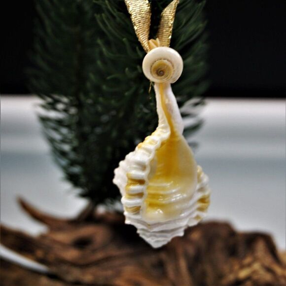 Vintage Conch Seashell Christmas Ornament Ocean Nature Nautical - Picture 8 of 8